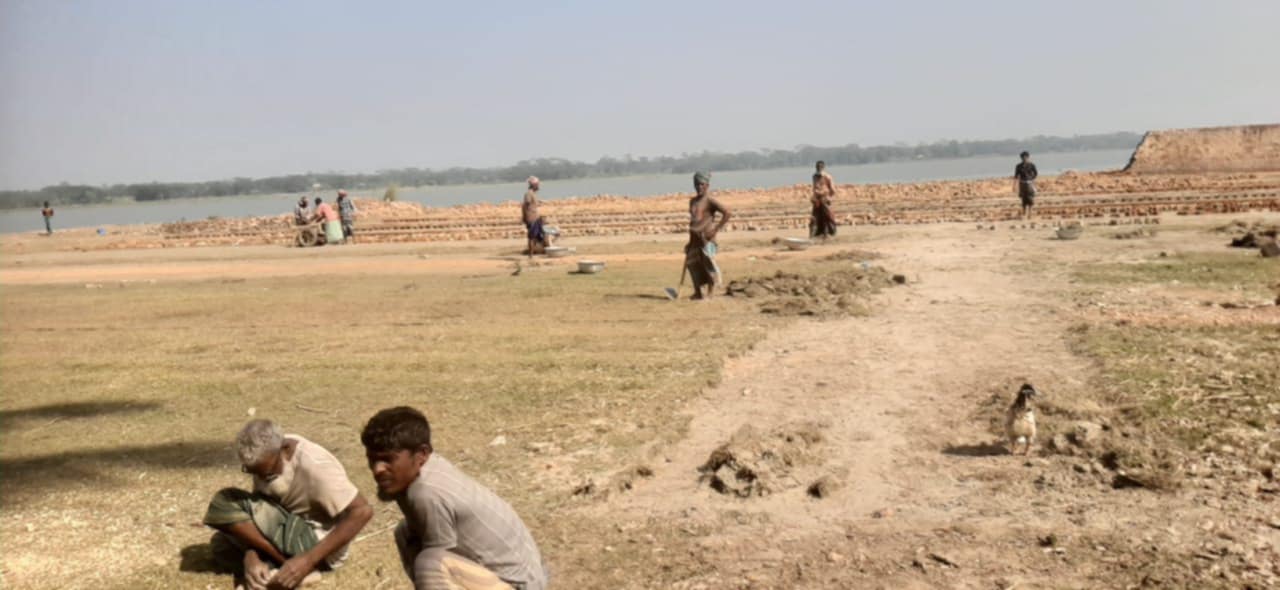 বানারীপাড়া, অবৈধ ইটভাটা, উজাড়, কৃষিজমি, গাছপালা 