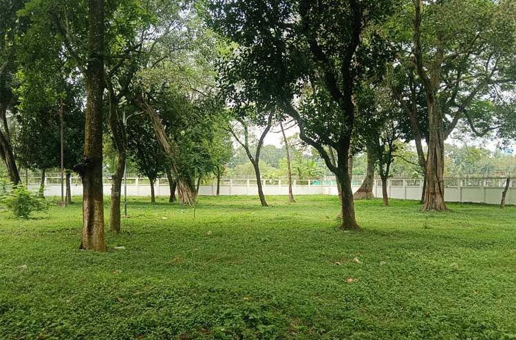 সার্কিট হাউজের অর্ধশত গাছ কেটে নতুন ভবন নির্মাণের উদ্যোগ