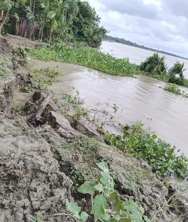 ভাঙনকবলিত সন্ধ্য নদীতে বালুমহাল ইজারা দেওয়ার পাঁয়তারা জেলা প্রশাসনের